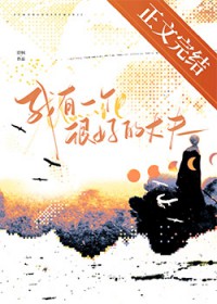 ����һ���ܺõ��ɷ�