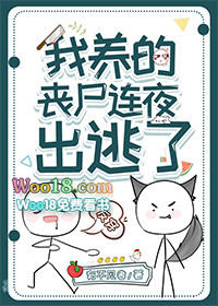 ������ɥʬ��ҹ������