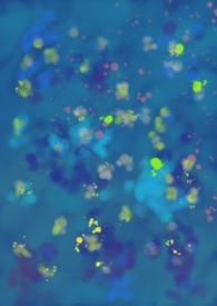 BarusЧӦ�����⣩