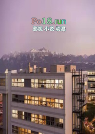 ֱ��ʽ����