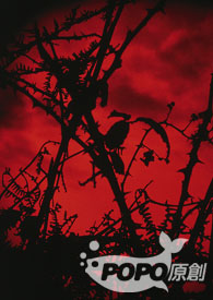 ��ҹ��Ѫ��