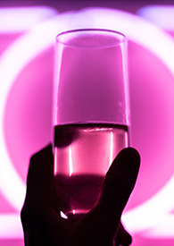 �����޺磨Nph)