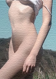 �鶯(��ƪ�ϼ�)