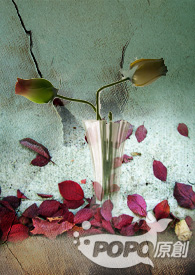 �������鲻����