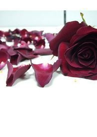 õ�幫Ԣ 1618��