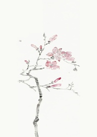 ���������1v1��