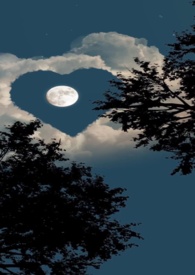 �������գ����H��