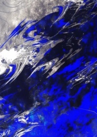 S���򵼵����Ƽ�¼��������nph��